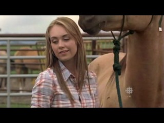 heartland - 04x05 - where the truth lies - fragment 4