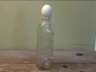 how to put an egg in a bottle without breaking it